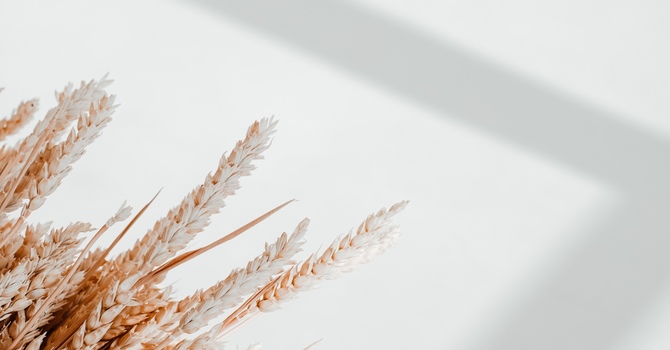 Pedicures in Calgary – Relax, Rejuvenate, and Revive Your Feet at Arcadian Spa