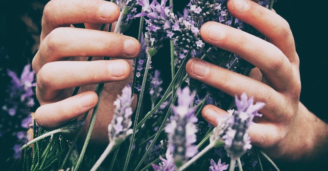 Pedicures in Calgary – Relax, Rejuvenate, and Revive Your Feet at Arcadian Spa